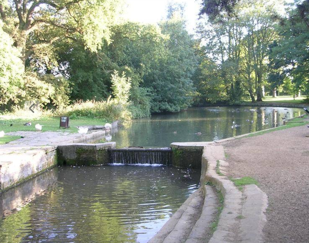 The lake area and Hinton Brook at Cherry Hinton Hall